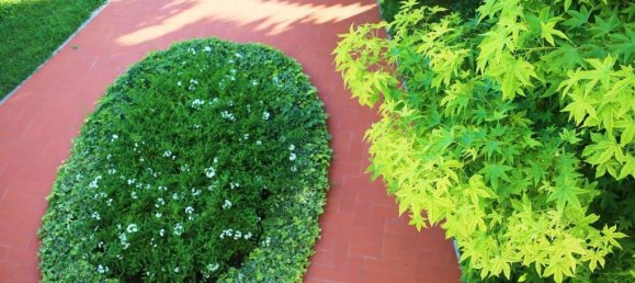 7 bedrooms Villa in Pisa, Italy No. 152305 26