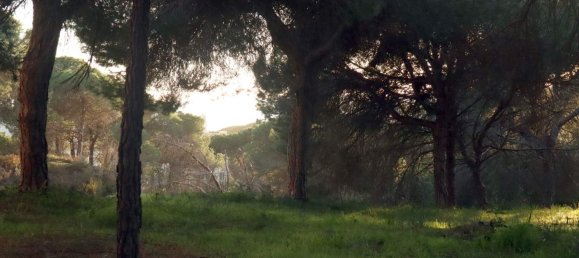  قطعة أرض في Almancil, Portugal رقم 68562 3