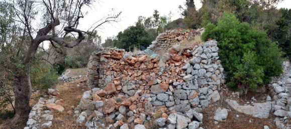 1-Zimmer Grundstück in Corsano, Italy, Nr. 328988 10