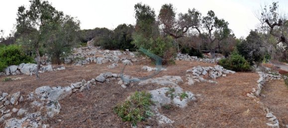 1-Zimmer Grundstück in Corsano, Italy, Nr. 328988 22