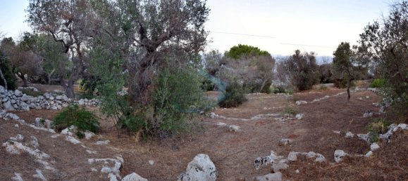 1-Zimmer Grundstück in Corsano, Italy, Nr. 328988 5