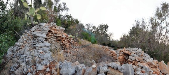 1-Zimmer Grundstück in Corsano, Italy, Nr. 328988 14