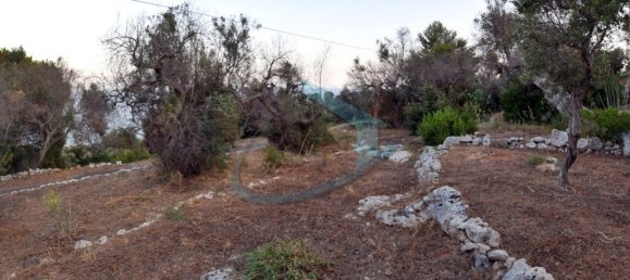 1-Zimmer Grundstück in Corsano, Italy, Nr. 328988 21