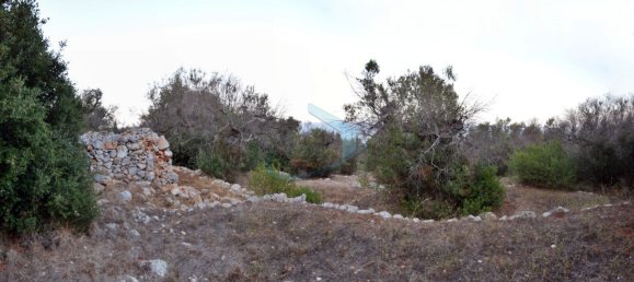 1-Zimmer Grundstück in Corsano, Italy, Nr. 328988 12