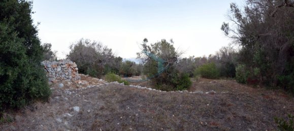 1-Zimmer Grundstück in Corsano, Italy, Nr. 328988 11