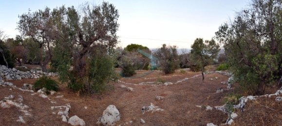 1-Zimmer Grundstück in Corsano, Italy, Nr. 328988 19