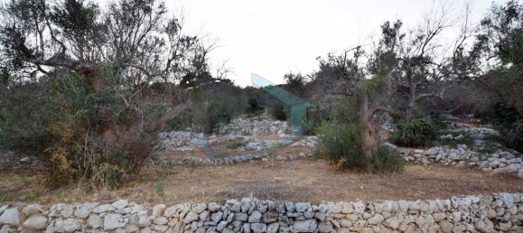 1-Zimmer Grundstück in Corsano, Italy, Nr. 328988 2