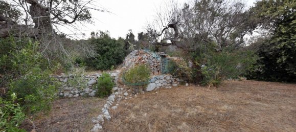 1-Zimmer Grundstück in Corsano, Italy, Nr. 328988 17