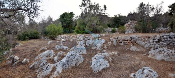 1-Zimmer Grundstück in Corsano, Italy, Nr. 328988 6