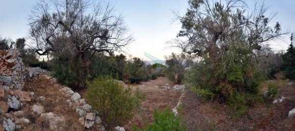 1-Zimmer Grundstück in Corsano, Italy, Nr. 328988 15