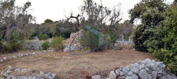 1-Zimmer Grundstück in Corsano, Italy, Nr. 328988 18