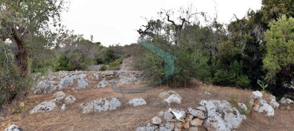 1-Zimmer Grundstück in Corsano, Italy, Nr. 328988 20