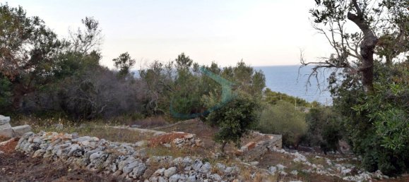 1-Zimmer Grundstück in Corsano, Italy, Nr. 328988 23