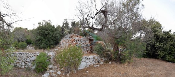 1-Zimmer Grundstück in Corsano, Italy, Nr. 328988 8