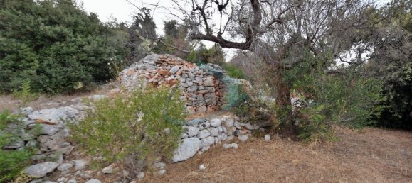 1-Zimmer Grundstück in Corsano, Italy, Nr. 328988 9