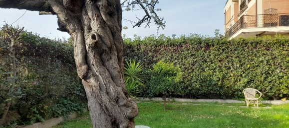 5-Zimmer Doppelhaus in Cerveteri, Italy, Nr. 114656 12