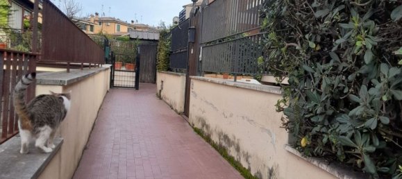 5-Zimmer Doppelhaus in Cerveteri, Italy, Nr. 114656 14