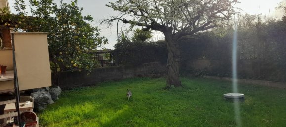 5-Zimmer Doppelhaus in Cerveteri, Italy, Nr. 114656 13