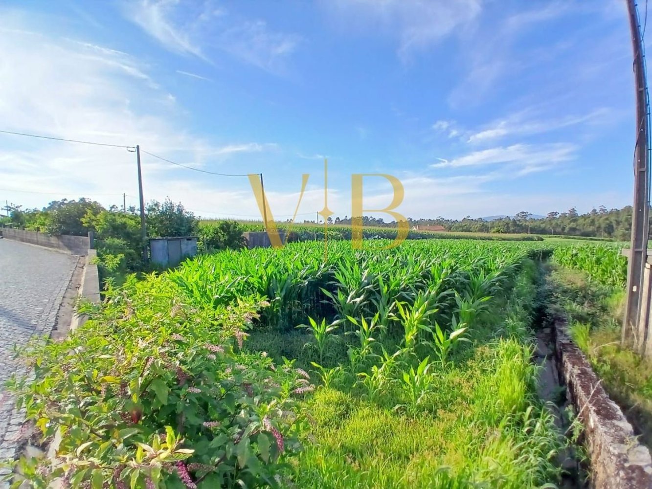 Земельный участок 2160м² в Лаундуш, Португалия № 52221