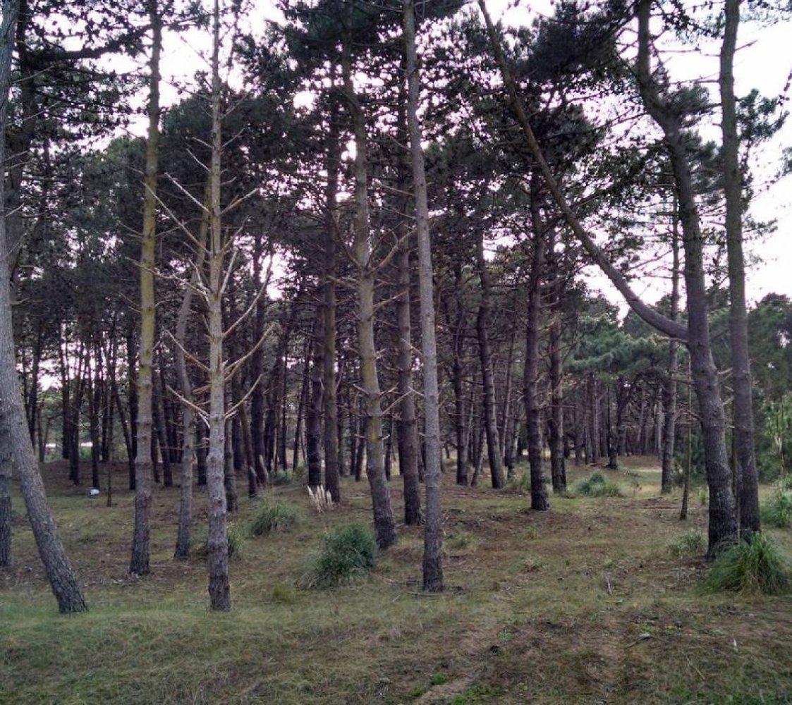  Land in Mar del Plata, Argentina No. 122193