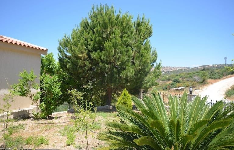 5 chambres Maison à Tala, Cyprus No. 9877