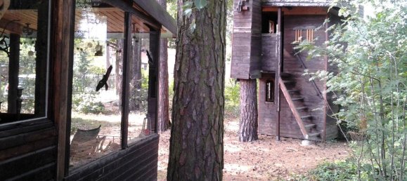 Terrain à Potsdam-Mittelmark, Germany No. 292316 7