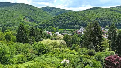  Land in Purkersdorf, Austria No. 33624