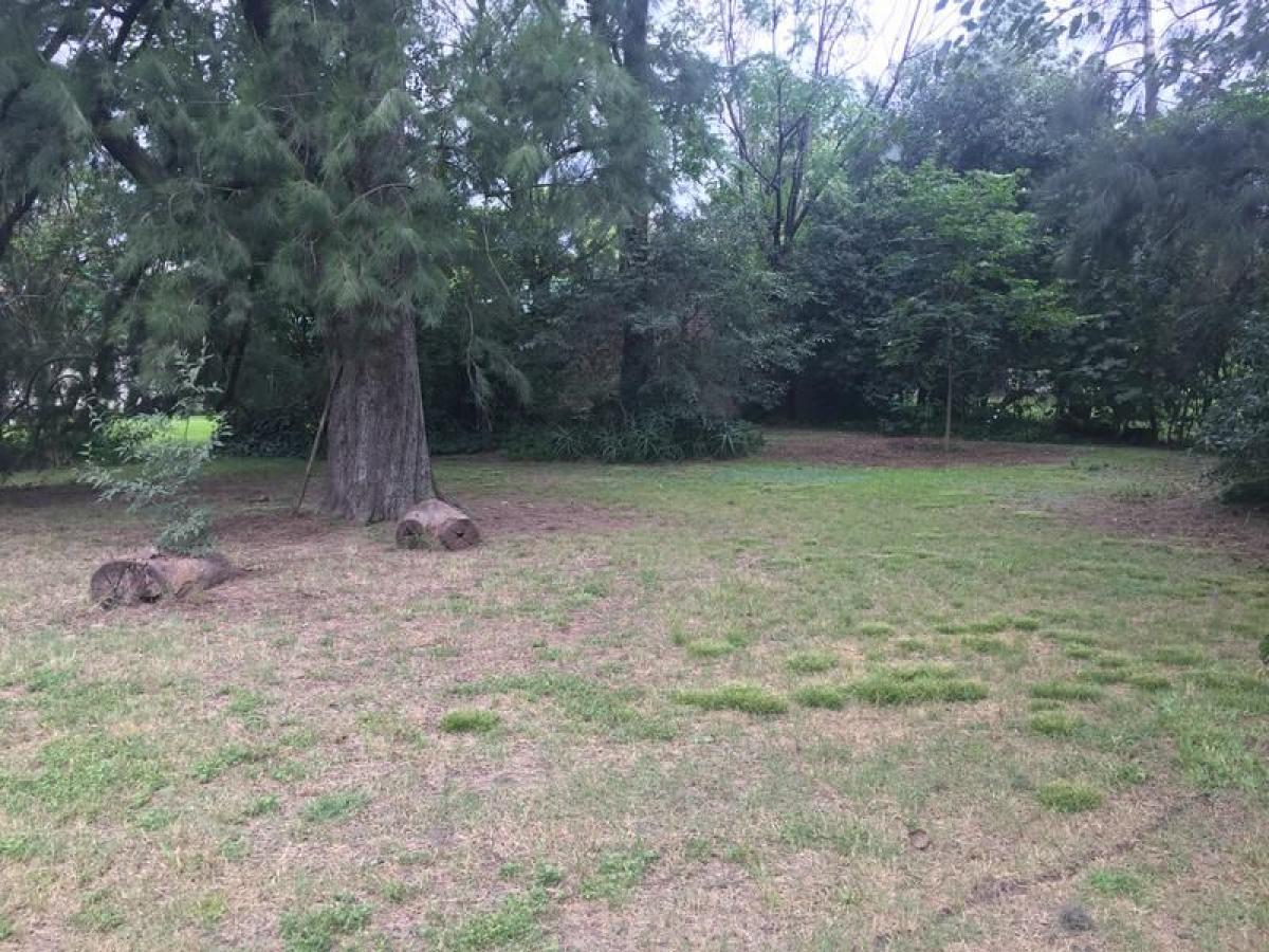  Land in Corrientes, Argentina No. 39514