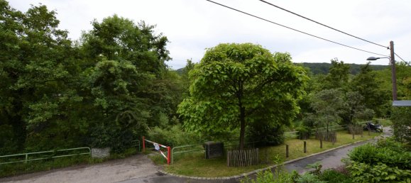 Apartamento de 4 divisões em Penzing, Austria N.º 130411 5