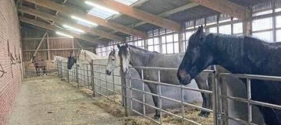 Casa de 9 habitaciónes en Cuxhaven, Germany No. 81805 5