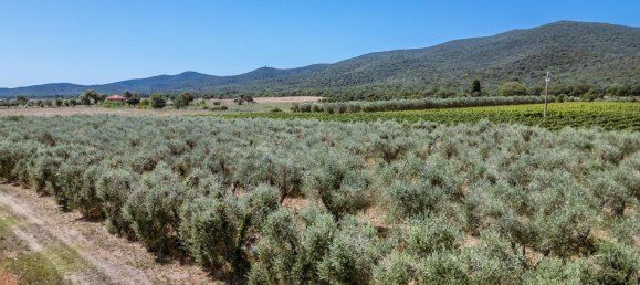 16 bedrooms Hotel in Grosseto, Italy No. 304147 25