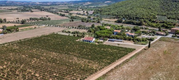 16 bedrooms Hotel in Grosseto, Italy No. 304147 26