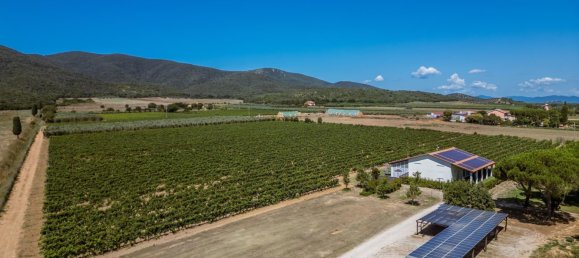 16 bedrooms Hotel in Grosseto, Italy No. 304147 18