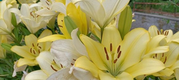 4 rooms Apartment in Fossano, Italy No. 117972 33