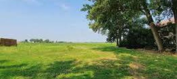 10600m² Land in Greve in Chianti, Italy No. 158681 5