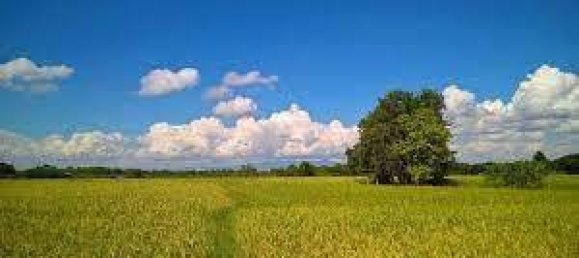 10600m² Land in Greve in Chianti, Italy No. 158681 3