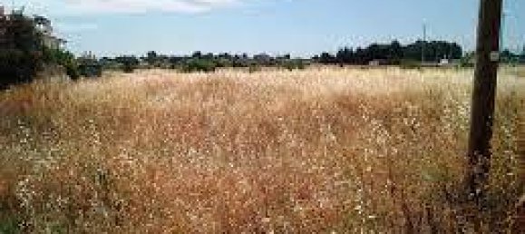 10600m² Land in Greve in Chianti, Italy No. 158681 2