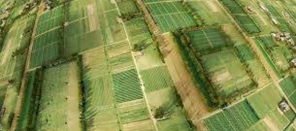 10600m² Land in Greve in Chianti, Italy No. 158681 6