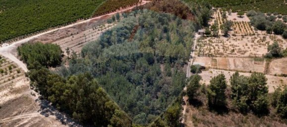 11747m² Land in Fundao, Portugal No. 74668 3