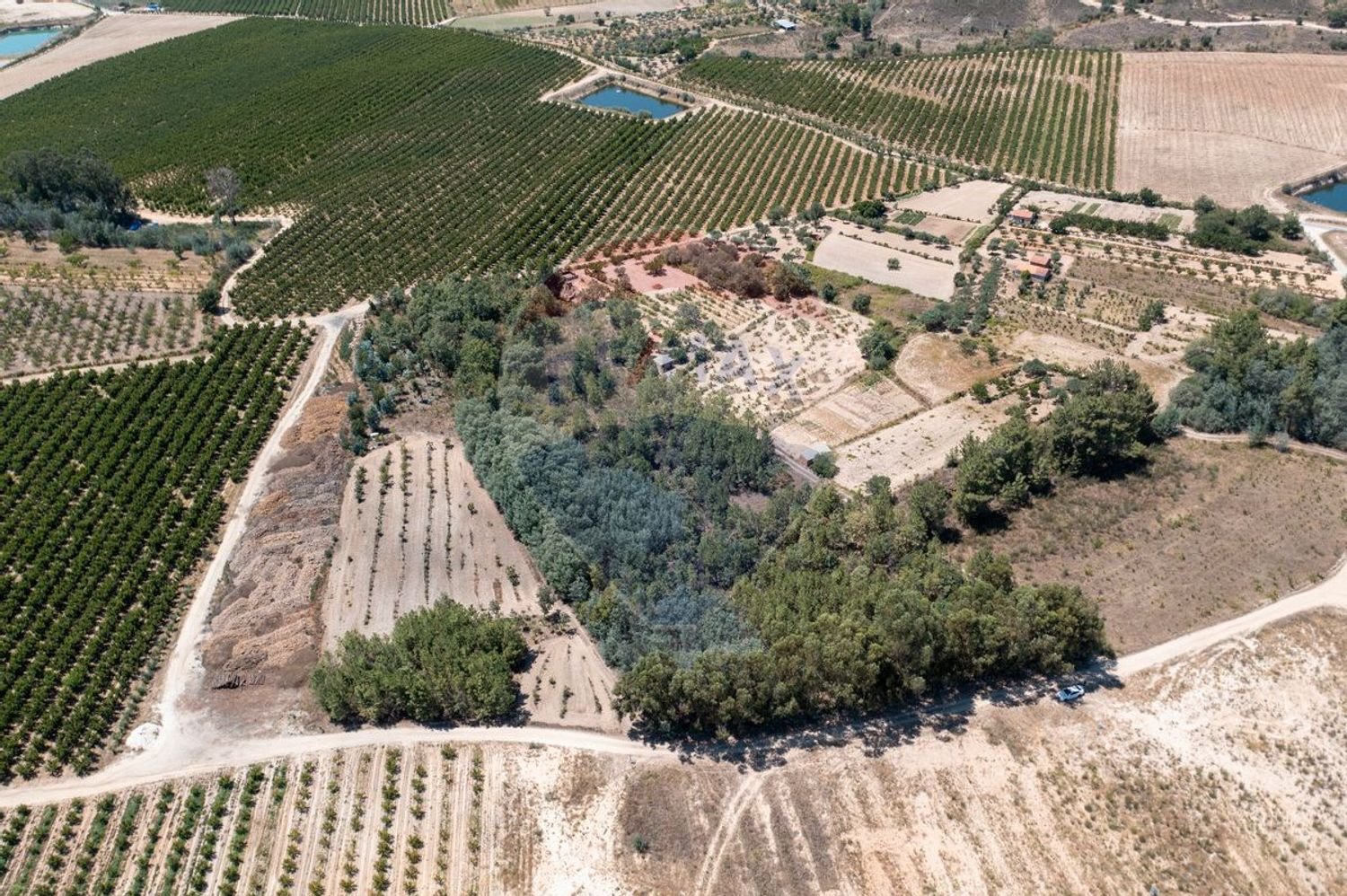 11747m² Land in Fundao, Portugal No. 74668