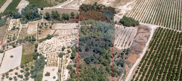 11747m² Land in Fundao, Portugal No. 74668 2