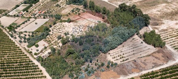 11747m² Land in Fundao, Portugal No. 74668 6