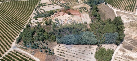 11747m² Land in Fundao, Portugal No. 74668 5