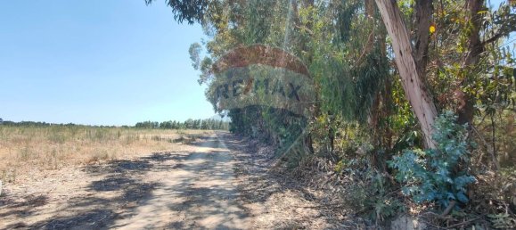 11747m² Land in Fundao, Portugal No. 74668 10