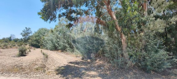 11747m² Land in Fundao, Portugal No. 74668 9