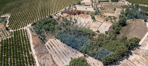 11747m² Land in Fundao, Portugal No. 74668 4