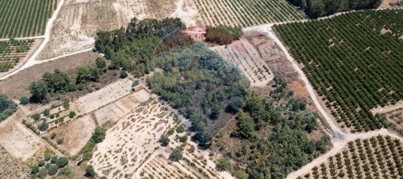 11747m² Land in Fundao, Portugal No. 74668 7
