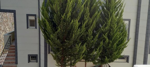 Apartment 3+1 in Bektas, Turkey No. 3788 7