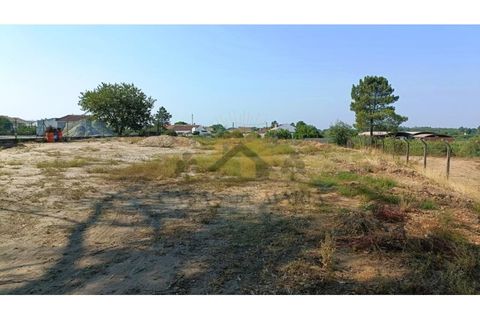 Grundstück in Vendas Novas, Portugal, Nr. 265316