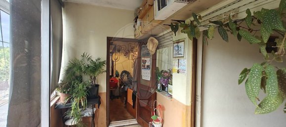 6 bedrooms House in Viseu, Portugal No. 169326 10